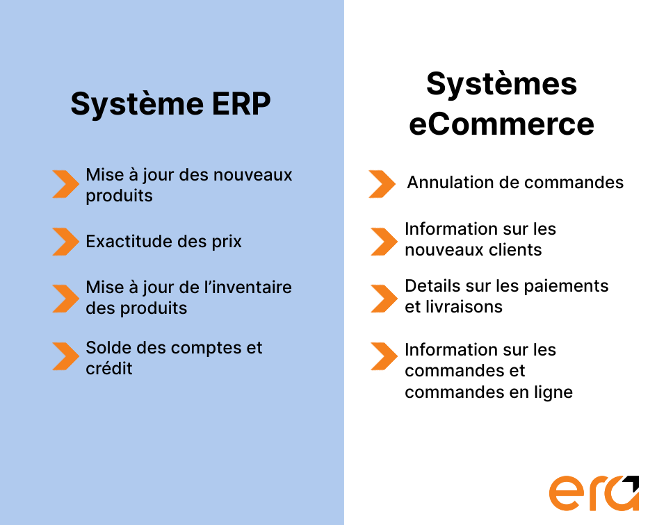 erp et ecommerce